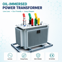 Transformateur de distribution triphasé immergé dans l'huile 1250 kVA 33/0,4 kV pour centre de données