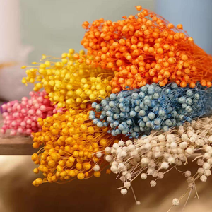 Fournitures de <span class=keywords><strong>fleuriste</strong></span> de haute qualité, fleurs séchées naturelles, fraîches et éternelles, haricots de jequirity, perles en désordre, pour la décoration de la maison - Product Image 2
