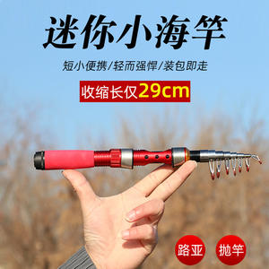 Nouvelle canne à pêche en mer mini 3,5 m, canne à leurre à action moyenne rapide, anneaux SIC, pour eau salée, canne de lancer portable, moulinet métallique - Product Image 5