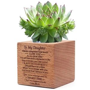 Solid Wood Mini <b>Succulent</b> <b>Pot</b> Creative Wooden Planter Desktop Indoor Decoration Gift For Daughter - Product Image 3