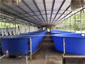 200 Liter Aquacultuur Aquaponic Plastic Kegel Bodem Tank Met Stalen Standaard - Product Image 6