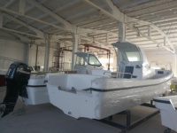 Bateau de plaisance Grandsea Fiberglass -850 de 28 pieds pour 8 passagers, 140 CV, pour la pêche et les travaux agricoles