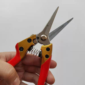 Sécateur Hisaichiro à lame de 45 mm en acier inoxydable, coupe à côté, pour la taille des arbres fruitiers, des fleurs et l'utilisation en jardinage - Product Image 2