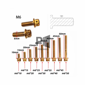 Hợp kim thép titan mạ vàng vít tùy chỉnh GR5 bault <span class=keywords><strong>ti</strong></span> vít <span class=keywords><strong>Fastener</strong></span> M4 M5 M8 <span class=keywords><strong>M10</strong></span> 304 Hex lục giác ổ cắm vít - Product Image 2