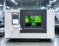 Machine de découpe laser à fibre fermée 1313 avec source laser IPG pour la découpe de métaux et de non-métaux