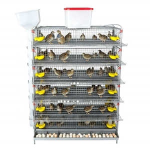 Industrial Grade Poultry Cage System with Adjustable Levels for Efficient Quail <strong>Egg</strong> <strong>Harvesting</strong> - Product Image 2