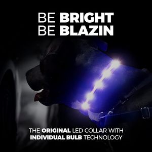 Pet LED Lights <b>Dog</b> Collar Polyester/Nylon Adjustable Fashion Eco-Friendly Night Safety Flashing Glow Dark <b>Dog</b> <b>Leash</b> <b>Dogs</b> Hair - Product Image 2
