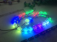 Fabrication de lampes LED RGB pour l'aménagement paysager, 110V, matériau PC, IP66, pour parcs d'attractions, avec garantie de 2 ans