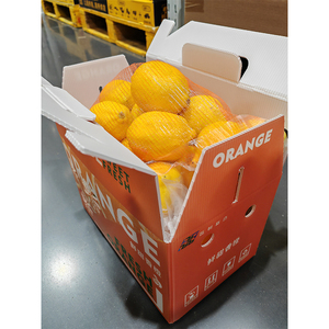 Yuexin chuối khoai tây cam vận chuyển Hộp giấy carton tùy chỉnh in chống nấm mốc không thấm nước PP SPC hộp - Product Image 1