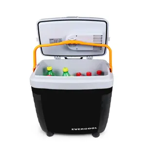 Mini Koelbox Koelkast Met Puller En Wielen Geschikt Voor Indoor En Outdoor Gebruik 28L Dc 12V