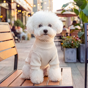 PETCIRCLE - Correa Cómoda para Perros Pequeños y Cachorros, Primavera y Otoño, 68, Sudadera Little General - Product Image 3