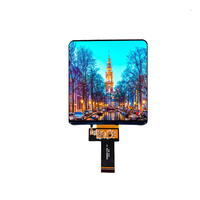Alta Recomendación 5 pulgadas 5,08 pulgadas cuadrado Incell Display 720*720 MIPI I2C Interfaz JD9365TN Controlador IC IPS Pantalla táctil incorporada