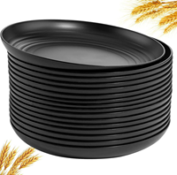 Assiettes écologiques durables incassables, surface givrée moderne, réutilisables, compatibles lave-vaisselle, pour le camping, les hôtels, la maison