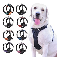 Ensemble de laisse de collier de chien en tissu doux et respirant du fabricant Harnais tactique réfléchissant pour animaux de compagnie pour chiens