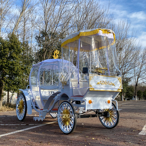 Charrette de Mariage Personnalisable Style Citrouille, Carrosse de Princesse Cendrillon, Transport Spécial pour Mariages - Product Image 1