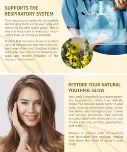 Gouttes liquides d'extrait de plantes naturelles personnalisées 60ml 1400mg de feuille de molène pour le nettoyage détox des poumons adultes - Product Image 4