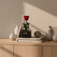 Hfloral Nouveauté Rose éternelle à longue tige dans une boîte cadeau en acrylique Fleur éternelle pour la Saint-Valentin Cadeau d'anniversaire