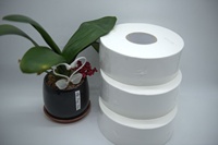 Papier toilette en rouleau standard 1/2 plis, personnalisé, économique, en pâte de bois vierge écologique, marque OEM, vente en gros, Chine