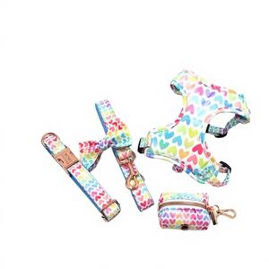 ชุดสายจูงและปลอกคอสุนัขแบบปรับได้ ไม่รัดคอ บุด้วยกำมะหยี่ มีหลายขนาด ตั้งแต่เล็กถึงใหญ่ น่ารัก สามารถสลักชื่อได้ พร้อมชุดสายรัดอกสำหรับลูกสุนัข - Product Image 1