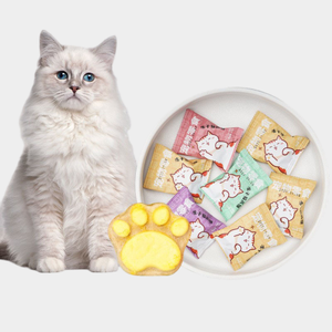 Galletas deliciosas de pollo y salmón de alta proteína, aperitivos para mascotas, pasteles nutricionales, varios sabores, galletas de garra de gato liofilizadas para mascotas - Product Image 1