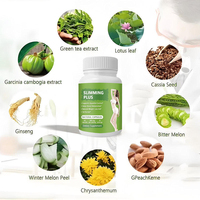 Capsules Minceur Naturelles à Base de Plantes, Perte de Poids, Détox, Pilules Minceur, Brûleur de Graisse Nocturne Infrarouge Super Slim aux Fruits