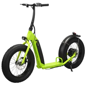Sharing CE Cheap Folding Electrical Scooter Wholesale 500W Offroad Electric Scooter 20inch Big Wheel E Scooter