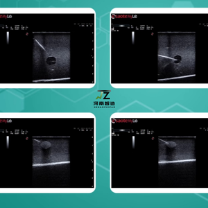 Model Pungsi dengan Panduan <span class=keywords><strong>Ultrasound</strong></span> untuk Payudara, Pelatihan Pengajaran Intervensi B-<span class=keywords><strong>ultrasound</strong></span> dengan Tumor, Warna Kulit - Product Image 6