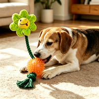 Jouet à mâcher en corde TPR pour chien, balle à picots, jouet interactif pour nettoyer les dents, pour chiens de petite/moyenne taille, intérieur/extérieur