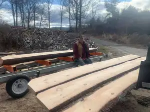 Log Portable Band Sawmill/Band Saw Mill Máy