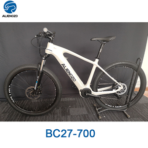 Bicicleta Eléctrica clásica de montaña y de ciudad, batería media de 250W, unisex - Product Image 1