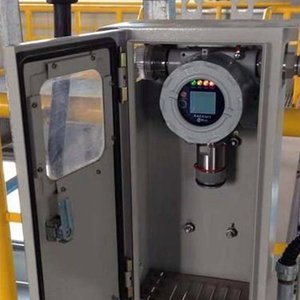 Detector de Gas RAEAlert FGM-3100 FGM-3100S NUEVO - Product Image 4