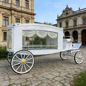 รถม้าศพนำศพแบบอเมริกันจากผู้ผลิตชั้นนำ ขายตรง รถม้าศพแบบกำหนดเองได้สำหรับร้านจัดงานศพ - Product Image 1