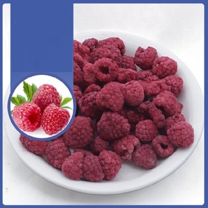 Fyfd014f Chất Lượng Cao Trái Cây Đông Lạnh Bán Buôn Đóng Băng Khô Toàn Bộ Màu Đỏ Mâm Xôi - Product Image 5