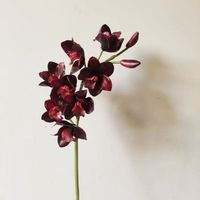 Anggrek Cymbidium 3D Sutra Grosir 83cm 7 Kepala Bunga Kupu-kupu Artificial untuk Dekorasi Rumah dan Pernikahan