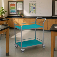 Chariot de laboratoire antistatique à 2 niveaux SCEELAB, chariot médical personnalisé pour hôpital, école, laboratoire, mobilier mobile avec roulettes