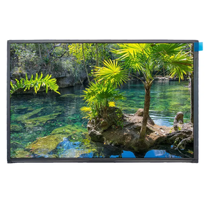 Giá tốt nhất 10.<span class=keywords><strong>1</strong></span> inch m101gwwf R0 TFT LCD màn hình hiển thị bảng điều khiển với 350 nits 800:<span class=keywords><strong>1</strong></span> tương phản ivo mô hình - Product Image 1