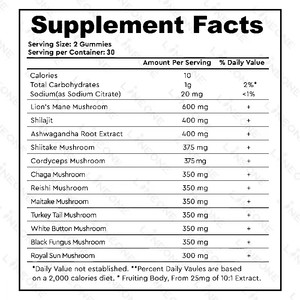 Nhãn hiệu riêng thuần chay nấm Gummies não tăng cường Hữu Cơ nootropic não tập trung bổ sung nấm Gummy - Product Image 3