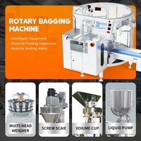 Machine d'emballage rotative GDS260B-08 pour noix et fruits secs, type de sac large