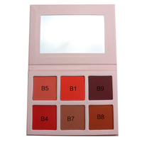 Palette vide OEM pour fard à joues et bronzer, 6 couleurs, taille standard, poudre minérale, résistante à l'eau, protection solaire, marque privée, usage visage