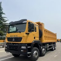 Venta Global de Camiones Volquete HOWO de 10 Ruedas, Todo Tipo, Bien Recibidos, Buen Estado, Motor Weichai Euro 3, Volante a la Izquierda, Diésel