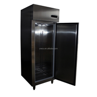 Congélateur vertical à porte simple, commercial, en acier inoxydable 304, refroidissement par air, avec une efficacité énergétique de 5 étoiles pour les restaurants