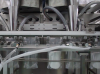 Machine d'emballage de sachets Doypack à fermeture éclair duplex DS-280DSZ, remplissage de poudre, film/sacs multifonctions de qualité alimentaire