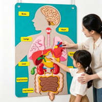 Kits pédagogiques Montessori sur les parties du corps humain pour les tout-petits, jouets d'apprentissage de l'anatomie préscolaire, éducation précoce OEM