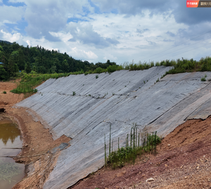 Contrôle de l'érosion durable et couverture en béton géosynthétique résistant aux mauvaises herbes pour stabiliser le sol prêt à être expédié - Product Image 6