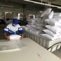 Oreiller en duvet de plumes de canard blanc, taille standard Queen/King, personnalisé, écologique, confortable pour hôtel haut de gamme