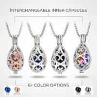 Collier urne funéraire pour animaux de compagnie en acier inoxydable, forme goutte d'eau, avec médaillon filigrané, capsule interne amovible, fermeture à vis, 6 options de couleur, commémoratif