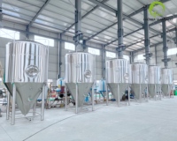 Fermenteur à bière conique isolé en acier inoxydable de 5000 L, cuve de fermentation pour brasserie artisanale