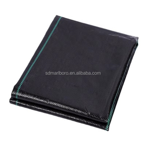 Tapis de contrôle des adventices SDM PP certifié CE, tissu à haute perméabilité à l'eau <span class=keywords><strong>pour</strong></span> la culture des fraises, des tomates, des vergers et des semis - Product Image 1