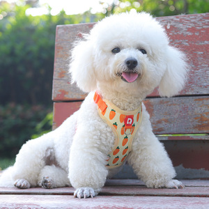 Venta al por mayor <span class=keywords><strong>de</strong></span> poliéster a la moda para mascotas, conjunto <span class=keywords><strong>de</strong></span> equipo para caminar, malla transpirable, Estilo Chaleco, arnés para perros, correa para perros pequeños <span class=keywords><strong>Bichon</strong></span> acolchada - Product Image 4
