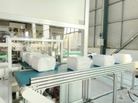 Ligne de production de machines à couches pour adultes entièrement automatique, garantie qualité, unique, économique et abordable